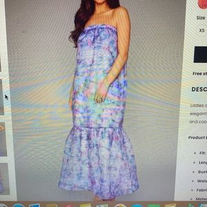 Brand new with tags. Long strapless maxi.